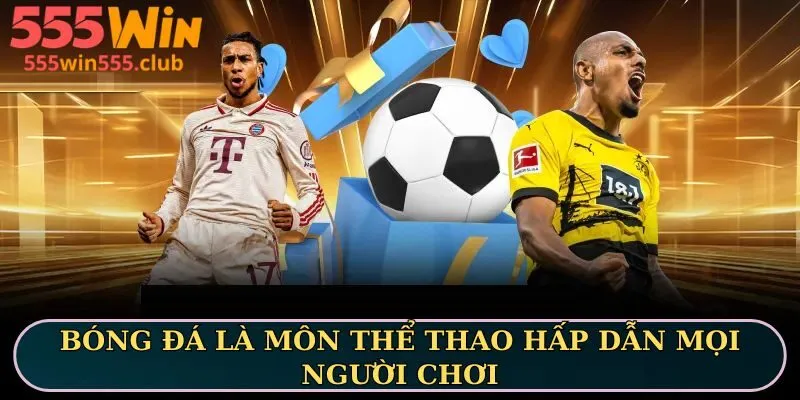 Thể thao 555WIN mang đến đa dạng nền tảng cá cược hấp dẫn